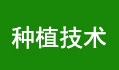 Nֲg